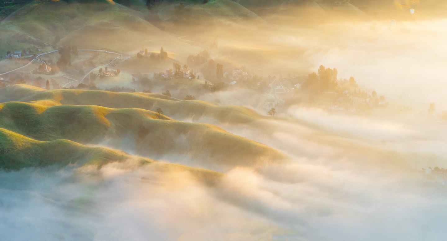 Colline verdi avvolte da una nebbia dorata all'alba.